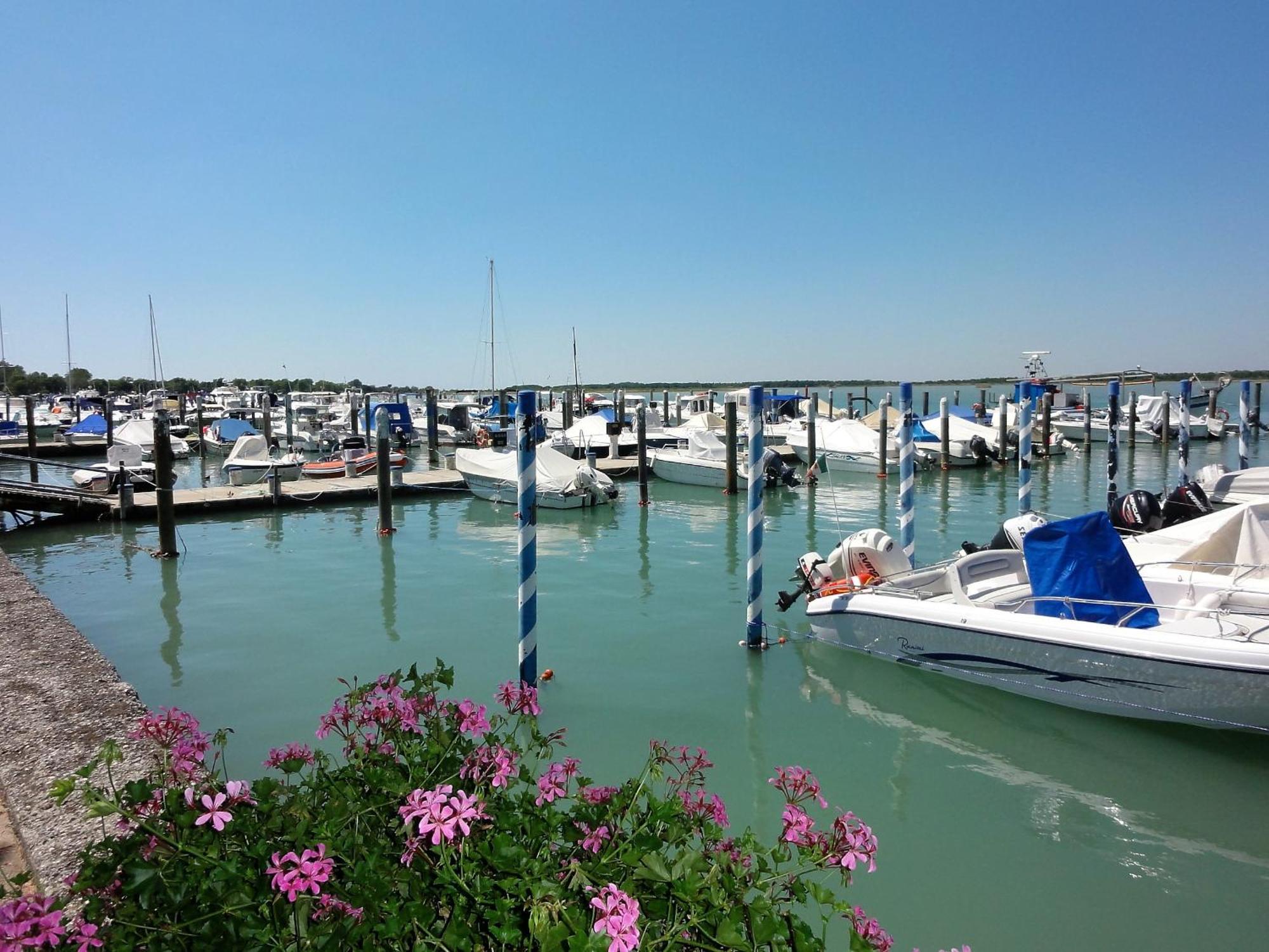 Albatros - Appartamenti Bibione Camera foto